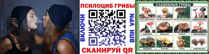 купить  сайты  Кяхта  Галлюциногенные грибы мицелий 